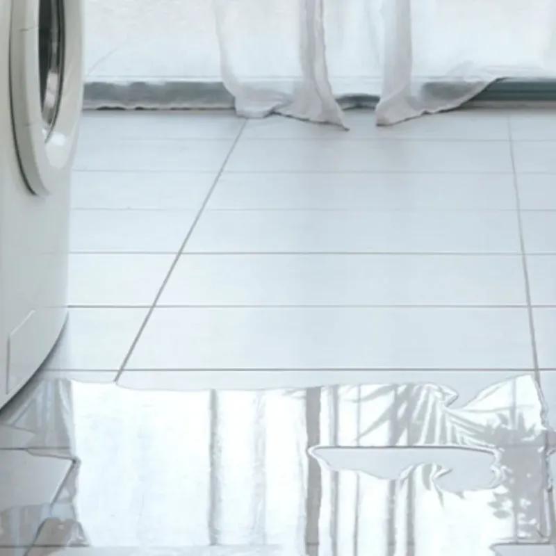 Appliance Leak Cleanup in Newton County, GA