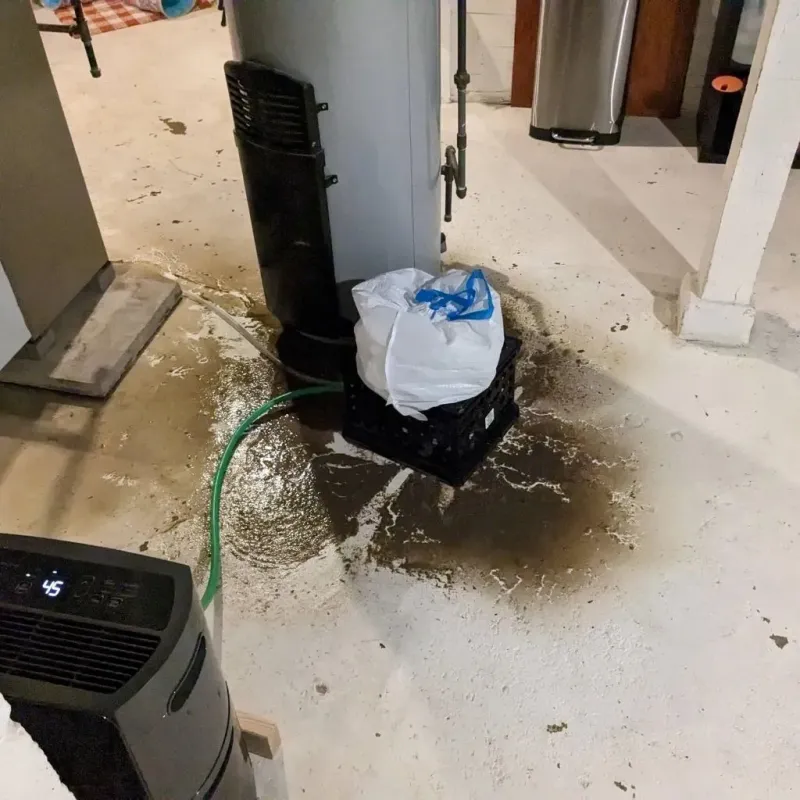 Sewage Backup Cleanup Service in Newton County, GA